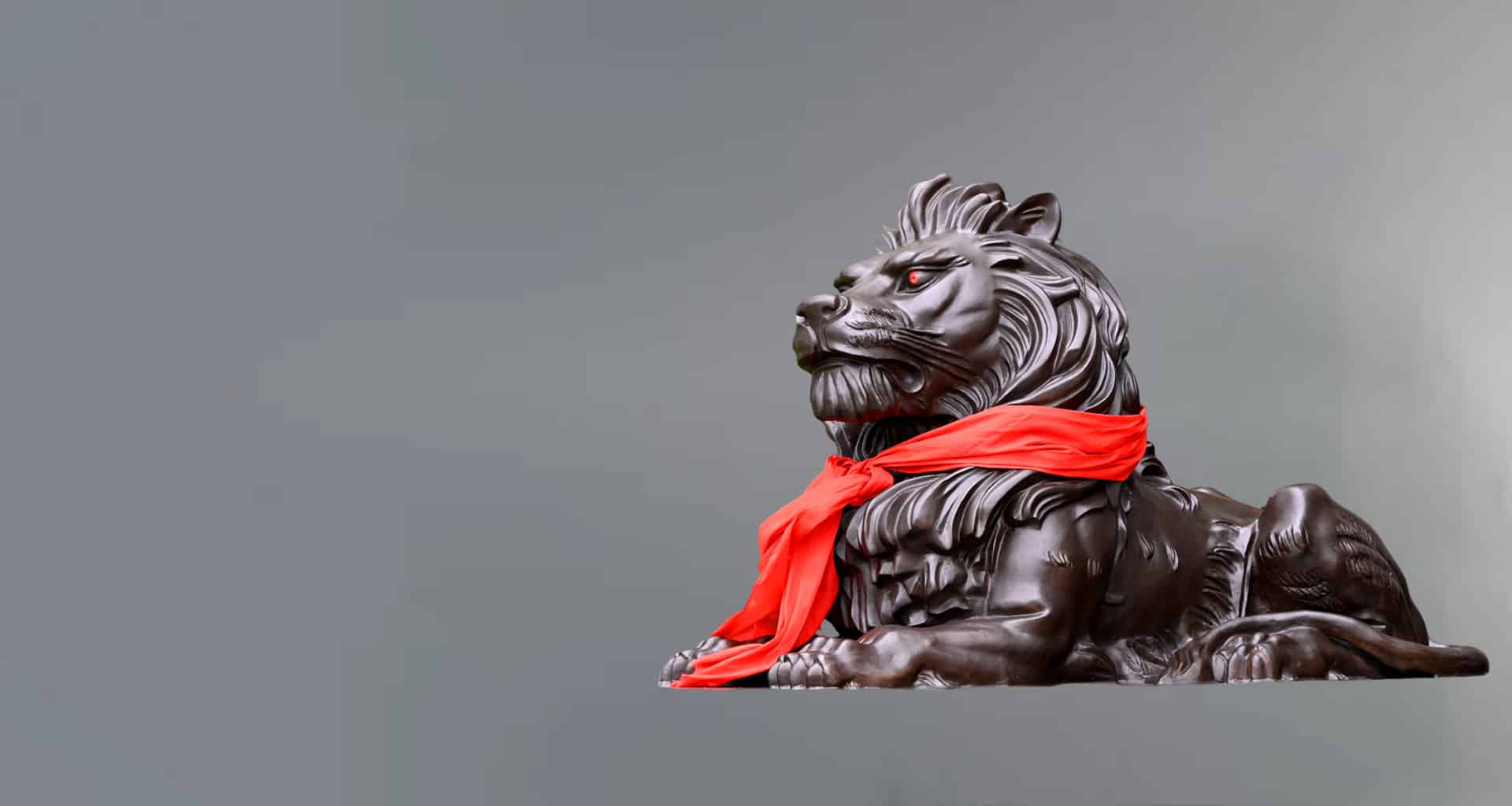 lion